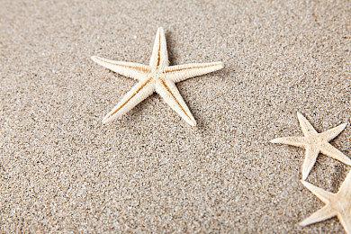 《战神：诸神黄昏》次世代宣传片 身临其境的九界之旅